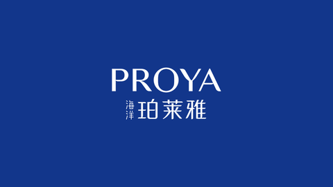 DS视讯品牌Logo全新升级